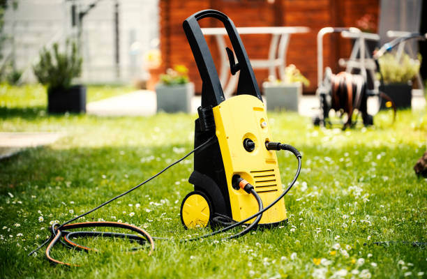 Best Pre-Holiday Cleaning  in Sandstone, MN